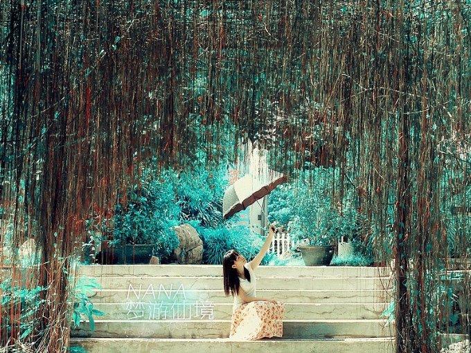 春雨直播app
